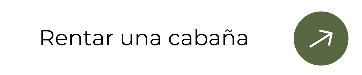 Rentar una cabaña